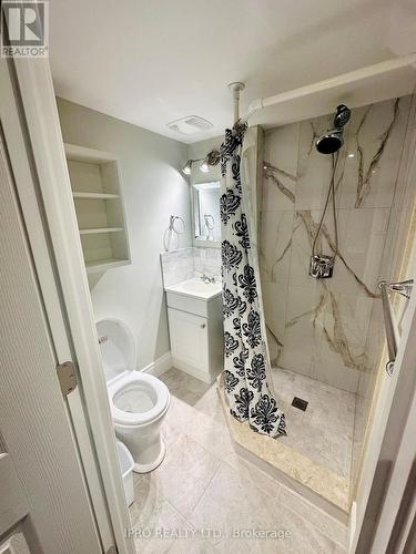 66 - 2145 Sherobee Road, Mississauga, ON - Indoor Photo Showing Bathroom