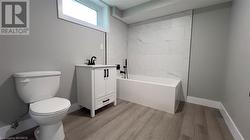 Lower Level Bathroom - 