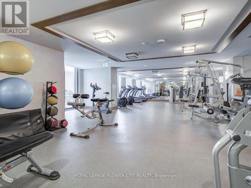 628 - 3091 Dufferin Street, Toronto, ON - Indoor Photo Showing Gym Room