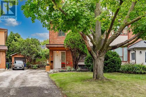 7 Veery Place, Toronto, ON - Outdoor