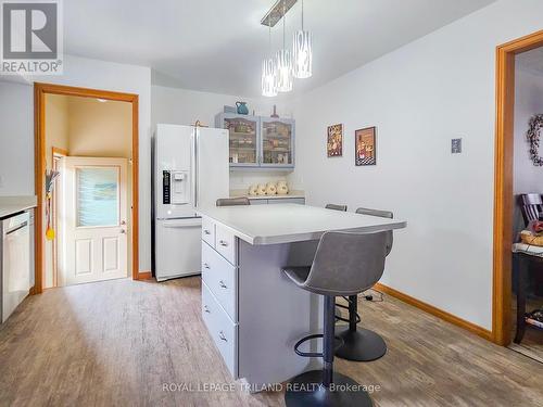 28 Rickwood Place, St. Thomas, ON - Indoor Photo Showing Kitchen