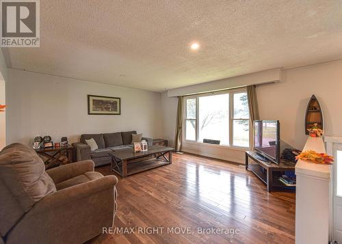 8732 Hwy 12, Oro-Medonte, ON - Indoor Photo Showing Living Room