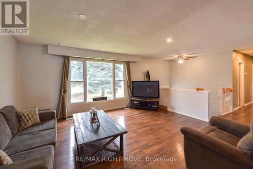 8732 Hwy 12, Oro-Medonte, ON - Indoor Photo Showing Living Room