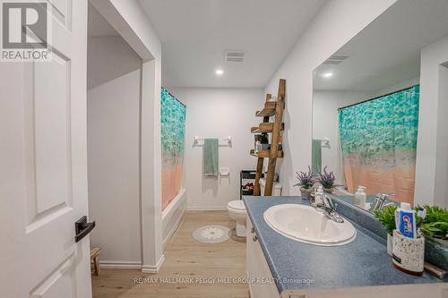 Lower - 38 Reynolds Lane, Barrie, ON - Indoor Photo Showing Bathroom