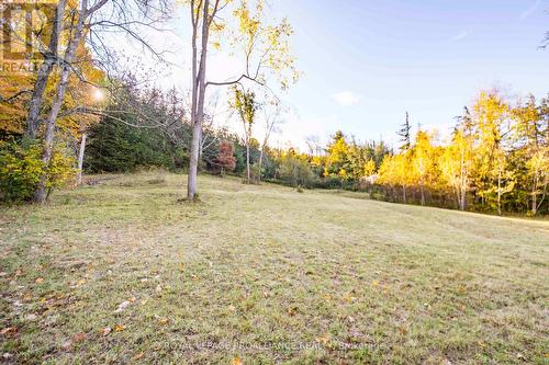 863 Gunter Settlement Road, Quinte West, ON 