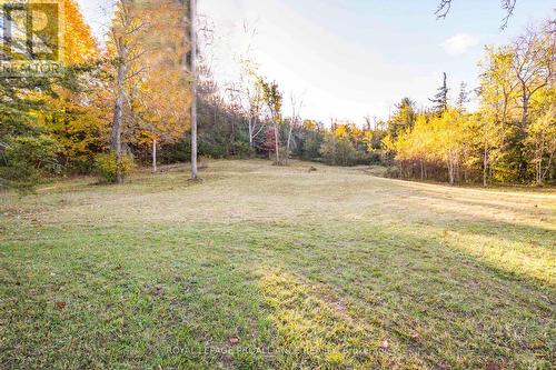 863 Gunter Settlement Road, Quinte West, ON 