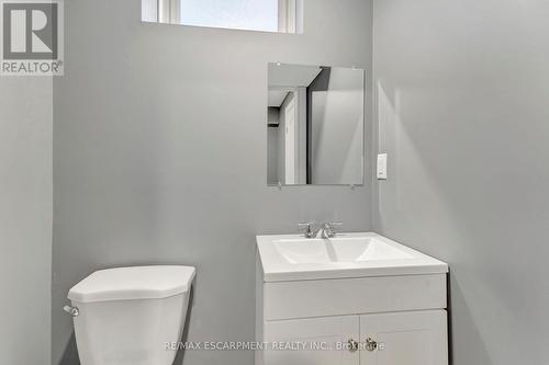 39 Morning Mist Drive, Hamilton, ON - Indoor Photo Showing Bathroom