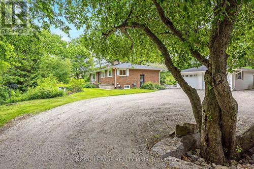 25 Caroline Street, Halton Hills, ON - Outdoor