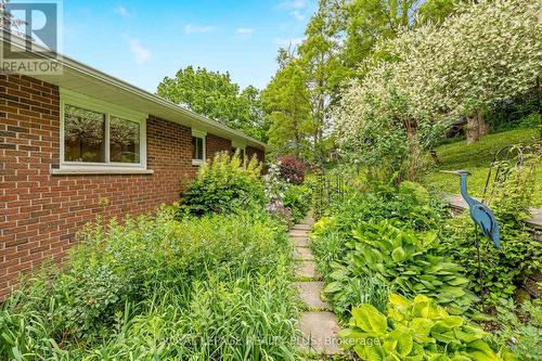 25 Caroline Street, Halton Hills, ON - Outdoor