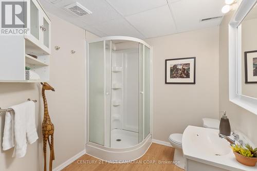 Downstairs 3 piece bathroom - 168 Emerald Road, London, ON - Indoor Photo Showing Bathroom