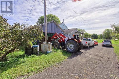 5984 3Rd Line, New Tecumseth, ON 