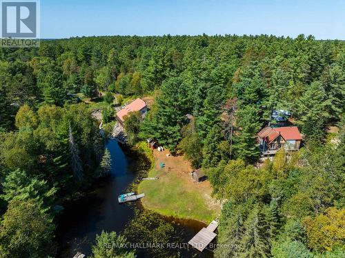 53B Forest Access Road, Parry Sound Remote Area, ON - Outdoor With View