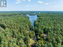 53B Forest Access Road, Parry Sound Remote Area, ON  - Outdoor With View 