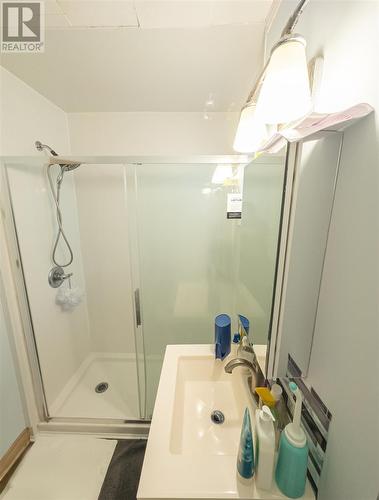 111 Albert St E, Sault Ste. Marie, ON - Indoor Photo Showing Bathroom