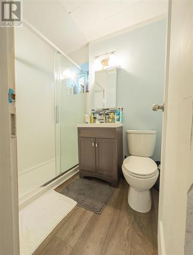 111 Albert St E, Sault Ste. Marie, ON - Indoor Photo Showing Bathroom