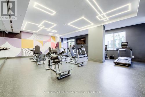 317 - 75 Canterbury Place, Toronto, ON - Indoor Photo Showing Gym Room