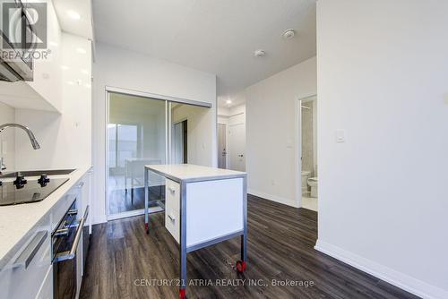 317 - 75 Canterbury Place, Toronto, ON - Indoor Photo Showing Kitchen