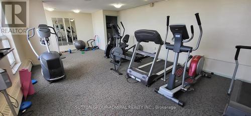 1409 - 130 Neptune Drive, Toronto, ON - Indoor Photo Showing Gym Room