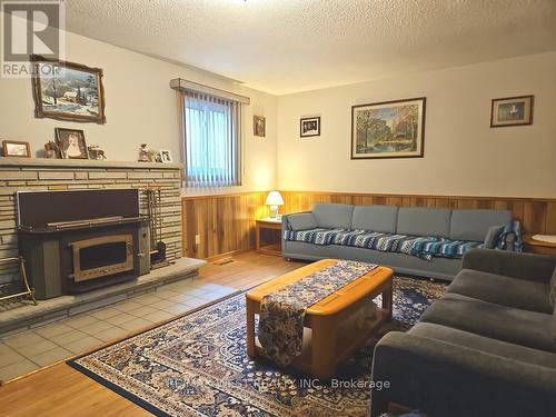 18 Goa Court, Toronto, ON - Indoor Photo Showing Living Room With Fireplace