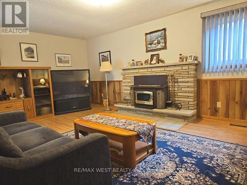 18 Goa Court, Toronto, ON - Indoor Photo Showing Living Room With Fireplace