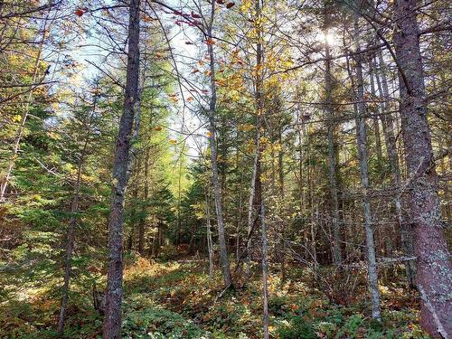 Lot 25 Beaver Lane, Grantville, NS 