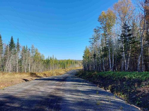 Lot 25 Beaver Lane, Grantville, NS 