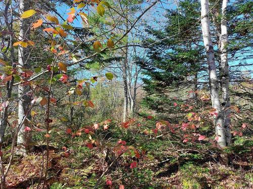 Lot 25 Beaver Lane, Grantville, NS 