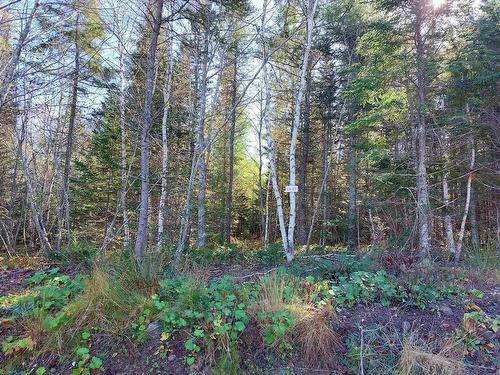 Lot 25 Beaver Lane, Grantville, NS 