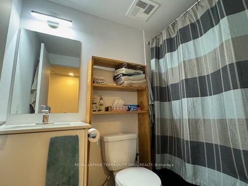 208-2 Gladstone Ave, Toronto, ON - Indoor Photo Showing Bathroom