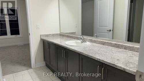 248 Broadacre Drive, Kitchener, ON - Indoor Photo Showing Bathroom