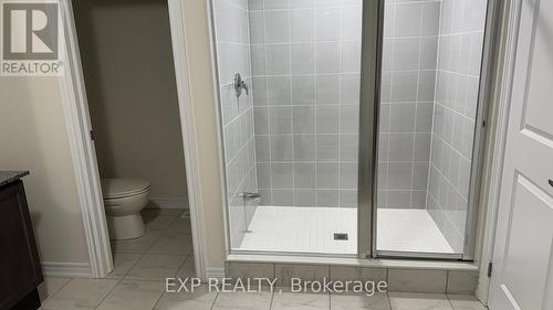 248 Broadacre Drive, Kitchener, ON - Indoor Photo Showing Bathroom