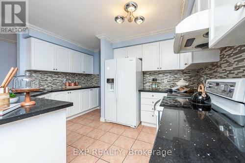 248 Broadacre Drive, Kitchener, ON - Indoor Photo Showing Kitchen With Upgraded Kitchen