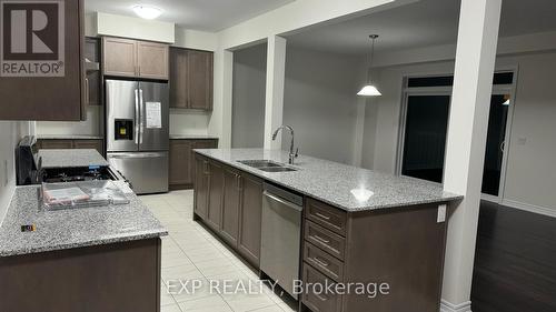 248 Broadacre Drive, Kitchener, ON - Indoor Photo Showing Kitchen With Double Sink With Upgraded Kitchen