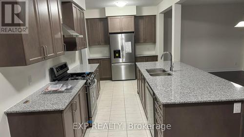 248 Broadacre Drive, Kitchener, ON - Indoor Photo Showing Kitchen With Double Sink