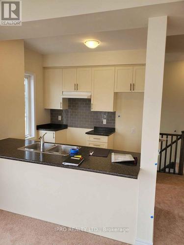 23 Cleland Avenue, Hamilton, ON - Indoor Photo Showing Kitchen With Double Sink