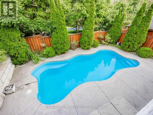 37 Red Cardinal Trail, Richmond Hill, ON - Outdoor With In Ground Pool With Backyard