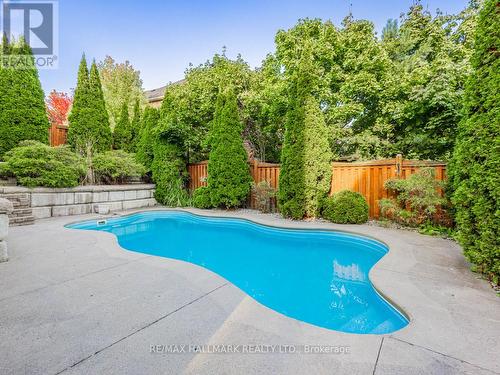 37 Red Cardinal Trail, Richmond Hill, ON - Outdoor With In Ground Pool With Backyard