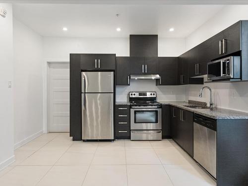 Kitchen - 107-3735 Av. Jean-Béraud, Laval (Chomedey), QC - Indoor Photo Showing Kitchen