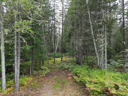 Photo aÃ©rienne - Ch. Des Cyprès, Nominingue, QC 