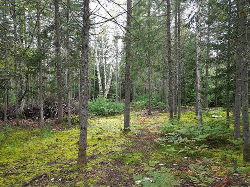 Photo aÃ©rienne - Ch. Des Cyprès, Nominingue, QC 