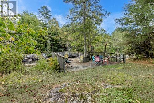 776 Monck Road, Kawartha Lakes, ON - Outdoor