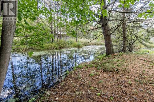 776 Monck Road, Kawartha Lakes, ON - Outdoor