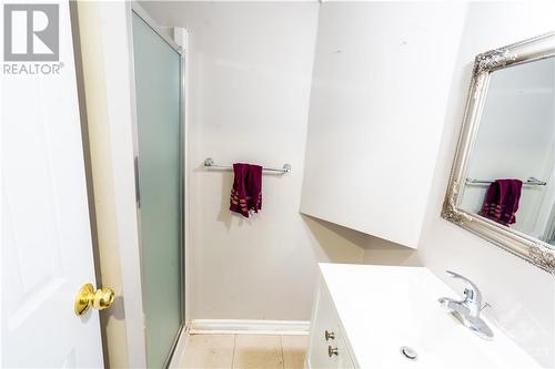 1089 Ballantyne Drive, Ottawa, ON - Indoor Photo Showing Bathroom