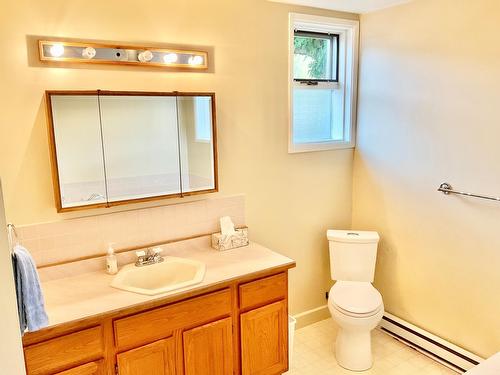 270 Dominion Street, Midway, BC - Indoor Photo Showing Bathroom