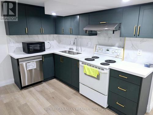 Bsmnt - 519 Rossland Rd Road E, Oshawa, ON - Indoor Photo Showing Kitchen With Double Sink