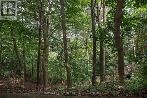 541 Rouge Hills Drive, Toronto, ON - Outdoor With View