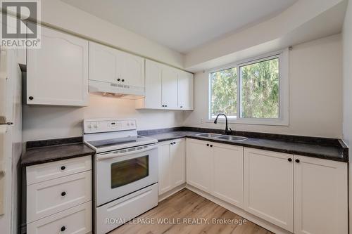 3 - 445 Pioneer Drive, Kitchener, ON - Indoor Photo Showing Kitchen With Double Sink