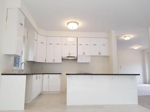 95 Macklin St, Brantford, ON - Indoor Photo Showing Kitchen