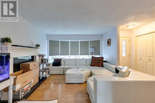 12112 Canfield Road Sw, Calgary, AB - Indoor Photo Showing Living Room