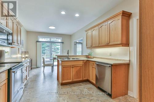 533 Mcgarrell Place, London, ON - Indoor Photo Showing Kitchen With Double Sink